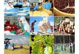 Aumentan exportaciones de productos agrícolas, forestales y pesqueros de Vietnam